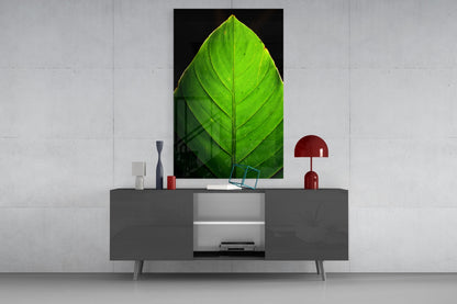 Sunlit Green Leaf Tip on Black Glass Wall Art