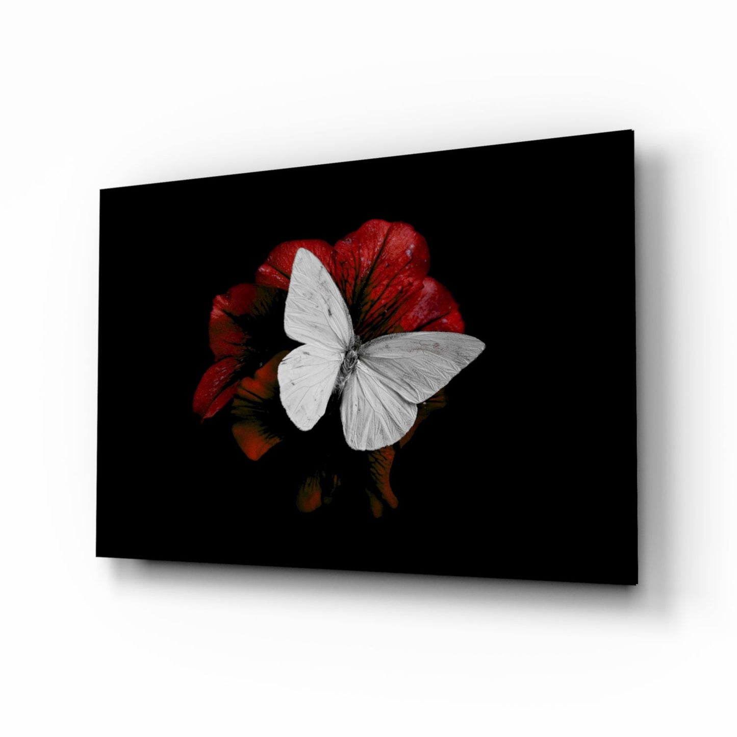 White Butterfly on Red Bloom Glass Wall Art