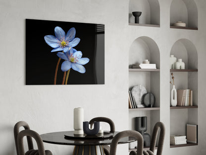 Two Pale Blue Anemones on Black Glass Wall Art