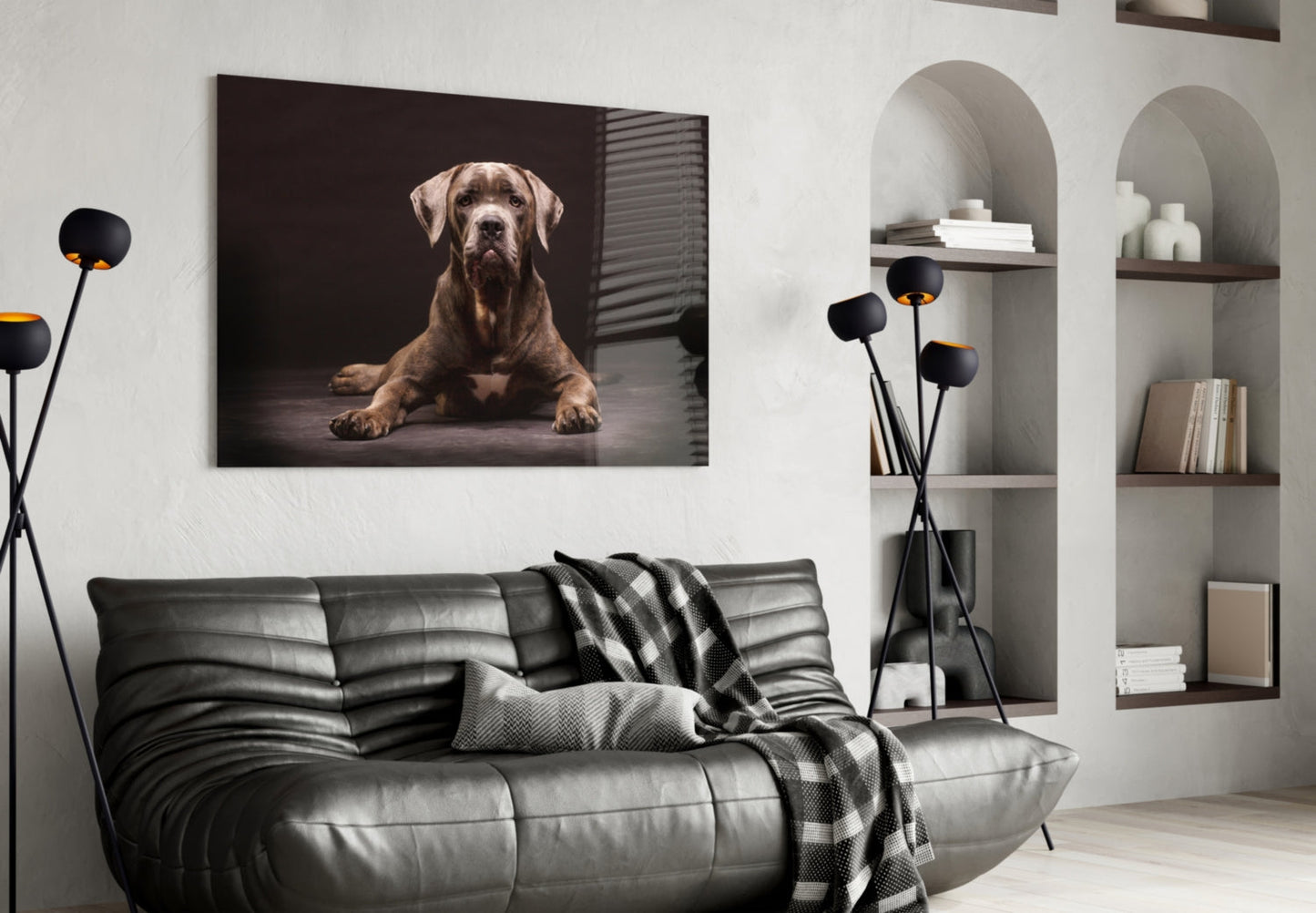 Cane Corso Studio Portrait Glass Wall Art