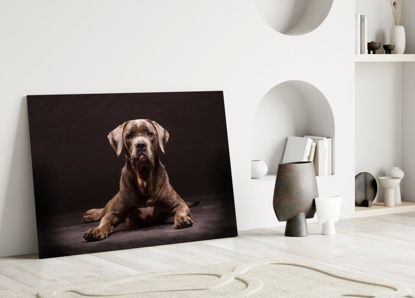 Cane Corso Studio Portrait Glass Wall Art