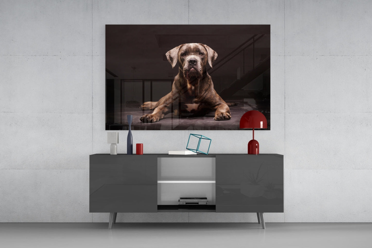 Cane Corso Studio Portrait Glass Wall Art
