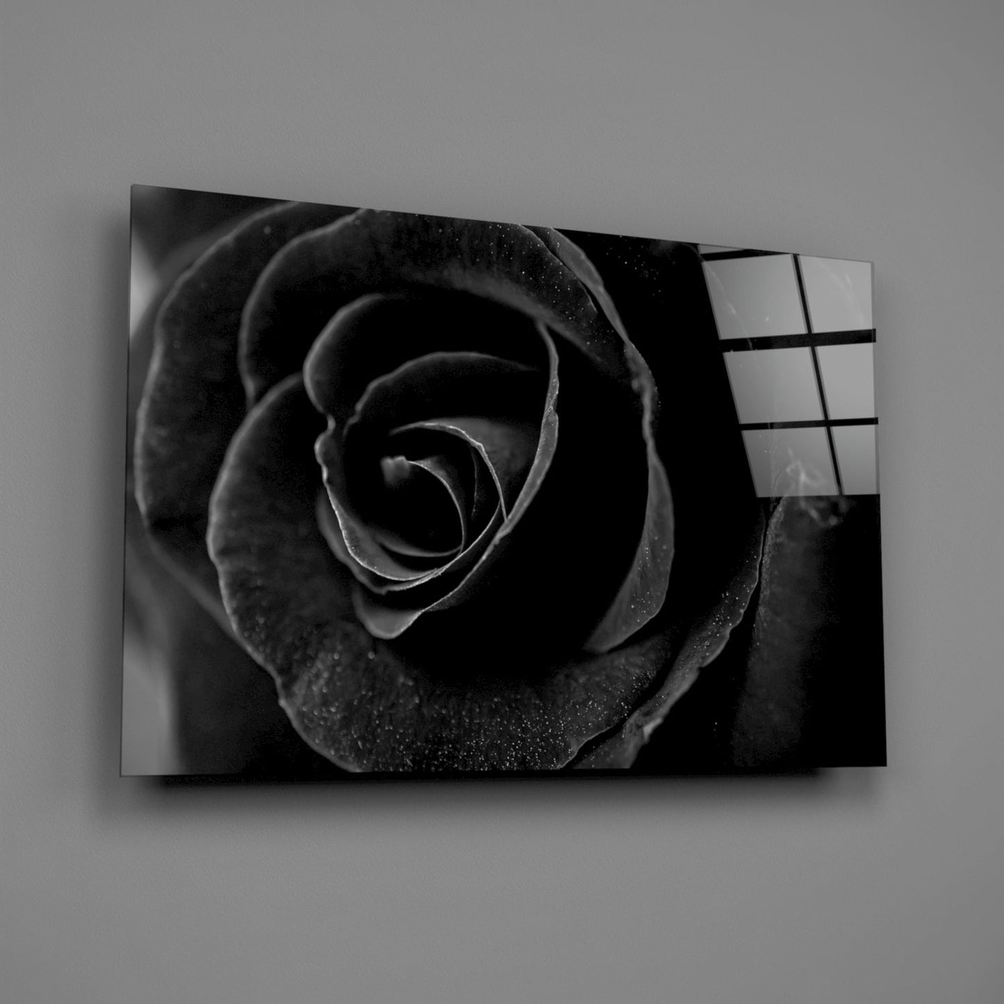 Black and white glass wall art displaying a close-up rose with dewdrops, shown at an angle against a gray background.