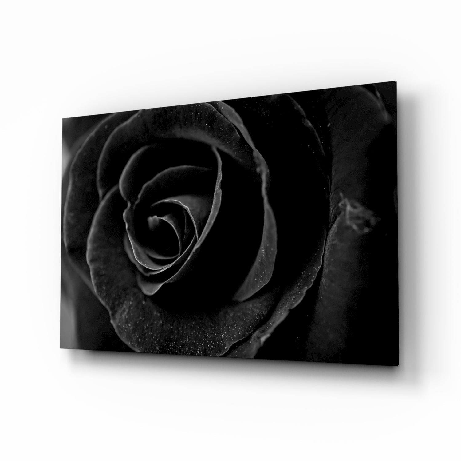 Angled perspective of black glass wall art featuring a close-up black rose with water droplets and dark foliage background.