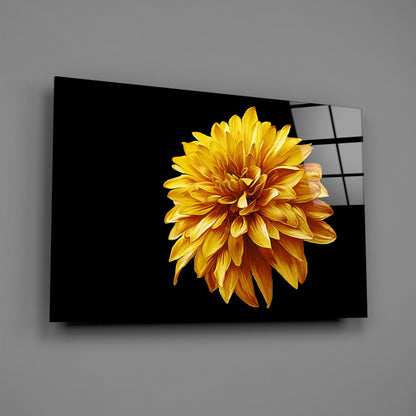 Golden Dahlia On Black Flower Glass Wall Art