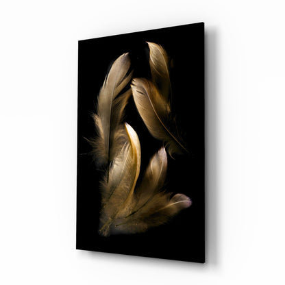Five tan and brown feathers arranged vertically against a black background on glass wall art, photographed at an angled perspective.