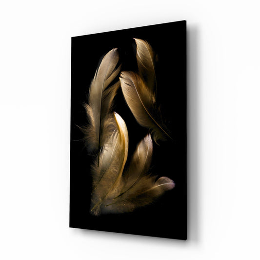 Five tan and brown feathers arranged vertically against a black background on glass wall art, photographed at an angled perspective.