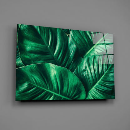 Glass wall art panel displaying close-up tropical leaves with green striped patterns and light reflections, mounted on gray wall.