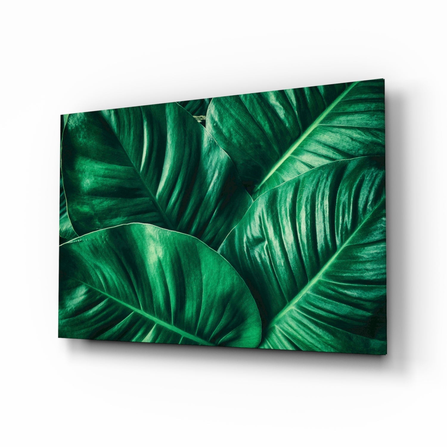 Glass wall art panel displaying close-up tropical leaves with prominent veins in deep and light green tones.