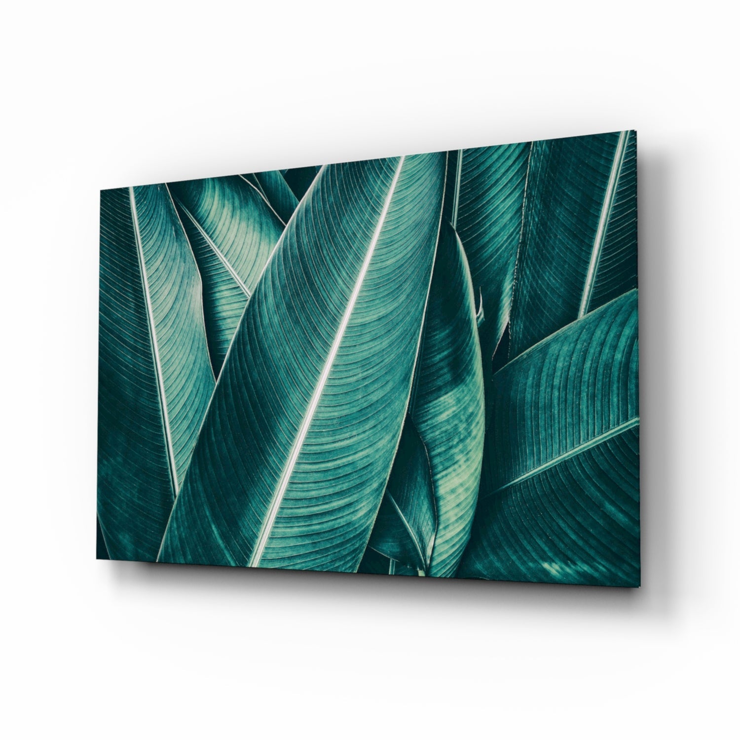 Angled perspective view of glass wall art displaying layered teal and dark green tropical leaves with white veins against white background.