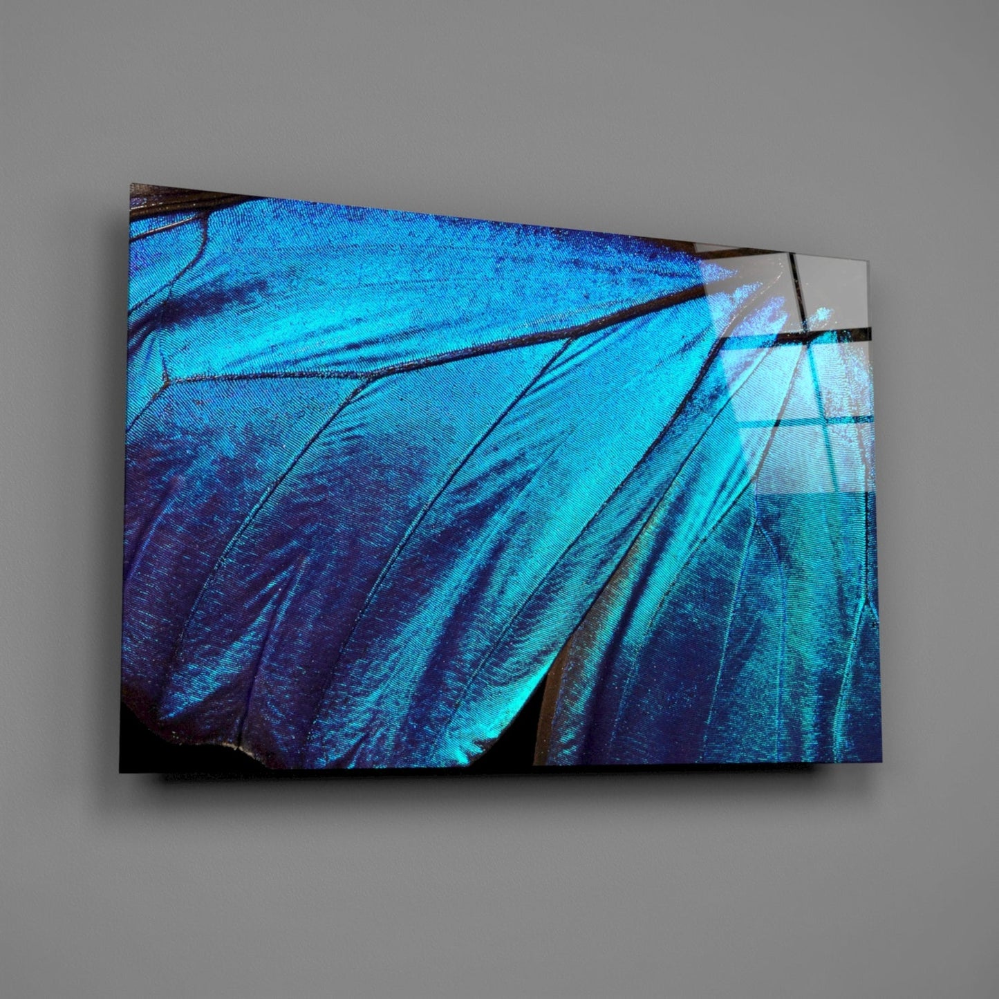 Angled view of glass wall art displaying iridescent blue butterfly wing details with black vein patterns against gray background.