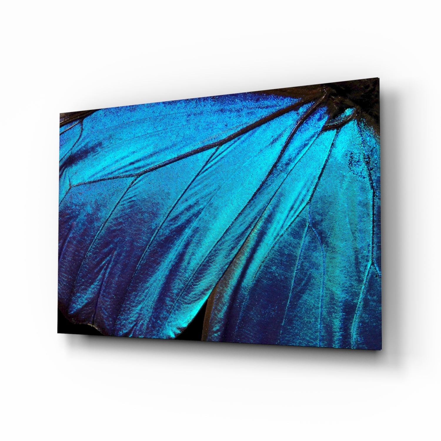 Iridescent blue butterfly wing glass wall art displayed at an angle, showing detailed texture and color gradation from bright cyan to deep navy.