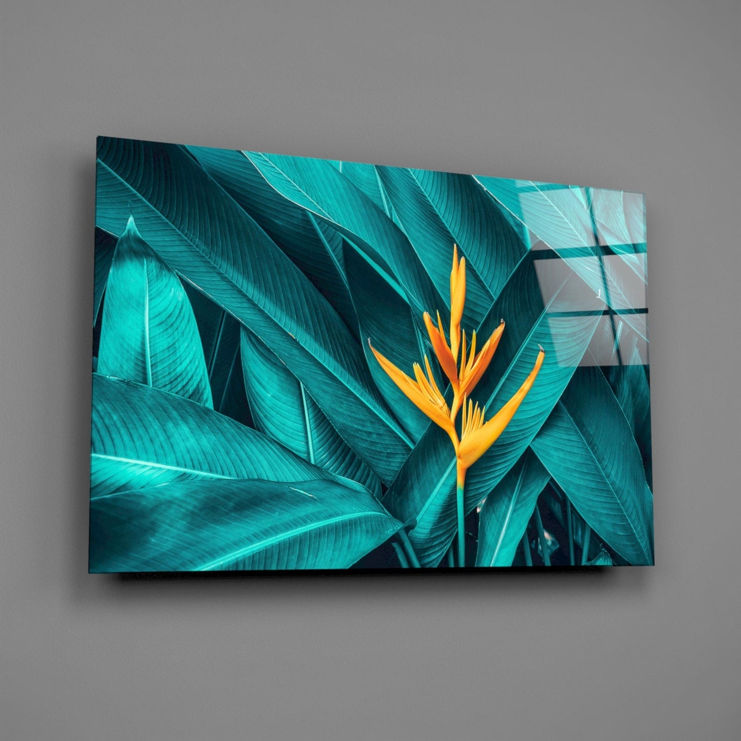 Turquoise tropical leaves with a yellow and orange bird of paradise flower displayed on glass wall art mounted on gray background.