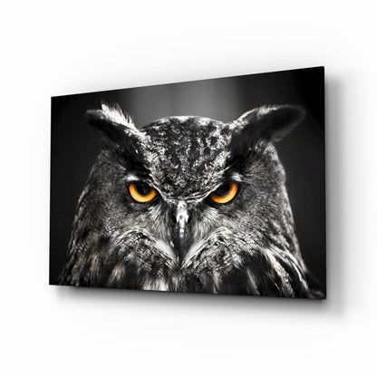 Horned Owl Orange Eyes Glass Wall Art