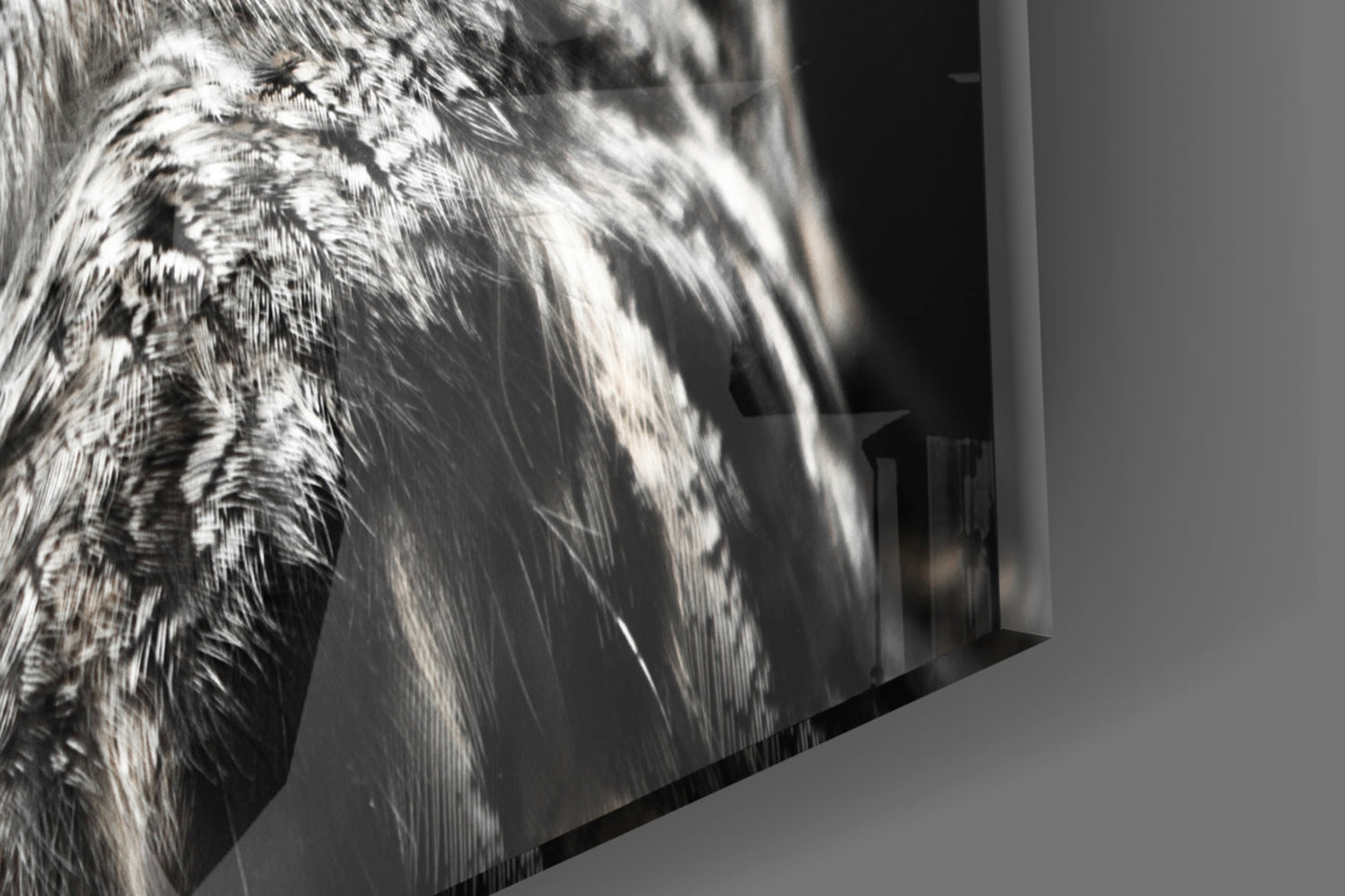 Horned Owl Orange Eyes Glass Wall Art
