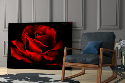 Dark Velvet Red Rose Petals Glass Wall Art