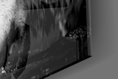 Close-up side view of frosted glass surface showing tiger stripes texture and detail in black and white.