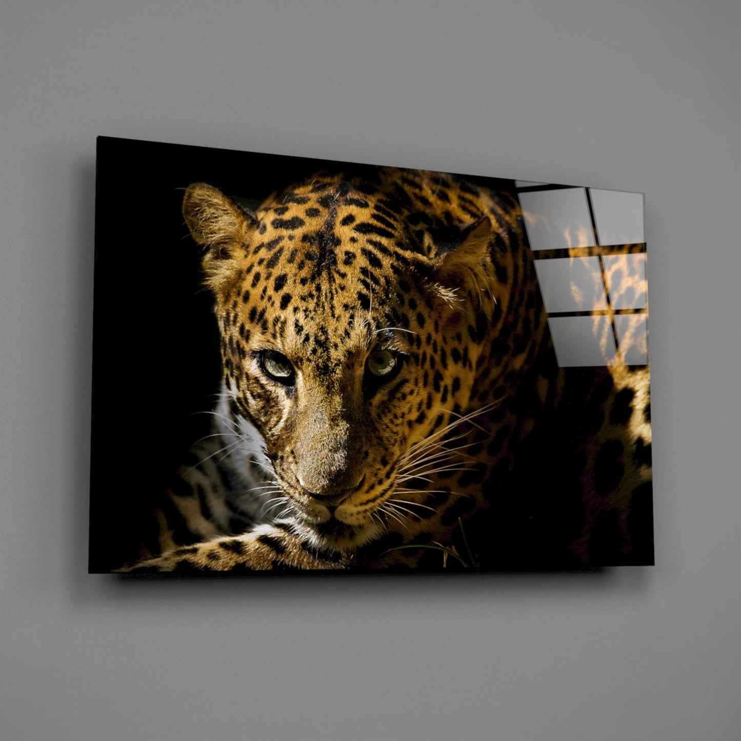 Leopard glass wall art mounted on gray wall showing close-up of spotted big cat's face against black background.