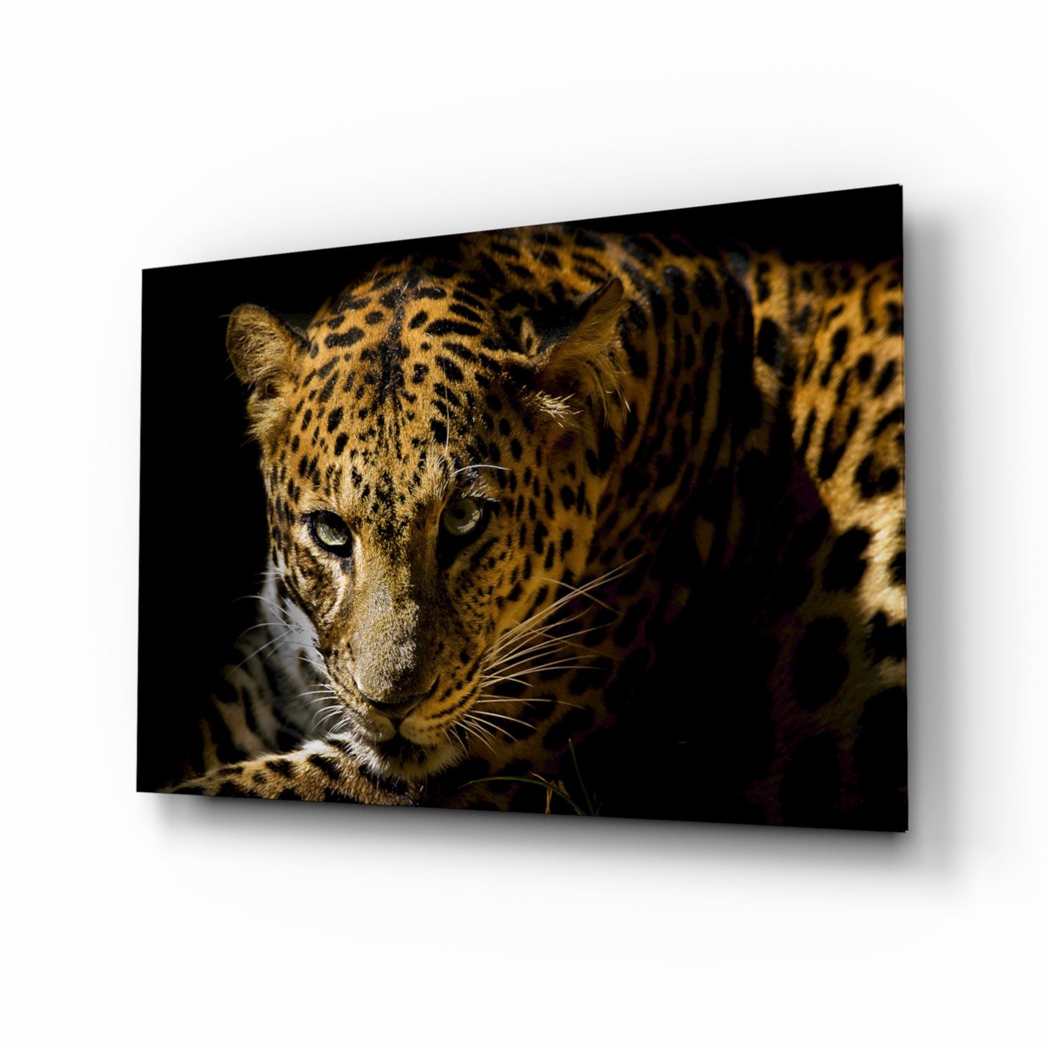 Leopard Glass Wall Art displaying a close-up portrait of a spotted leopard's face against a dark background, mounted at an angle.