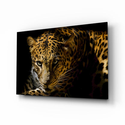 Leopard Glass Wall Art displaying a close-up portrait of a spotted leopard's face against a dark background, mounted at an angle.