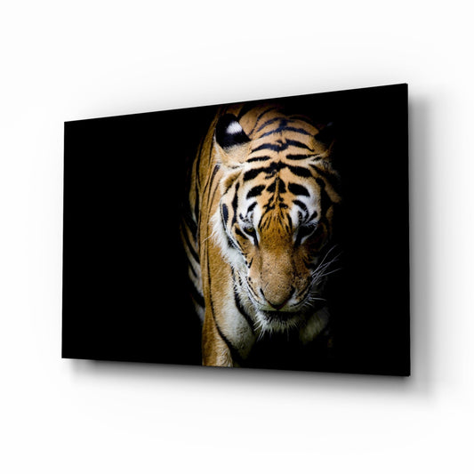 Tiger's face emerging from black background on framed glass wall art, showing orange stripes and white facial markings.