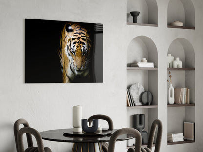 Stalking Tiger in Shadows Glass Wall Art