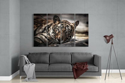Four-panel glass wall art displaying a close-up tiger face with striped markings, mounted above a gray sofa in a modern living room.