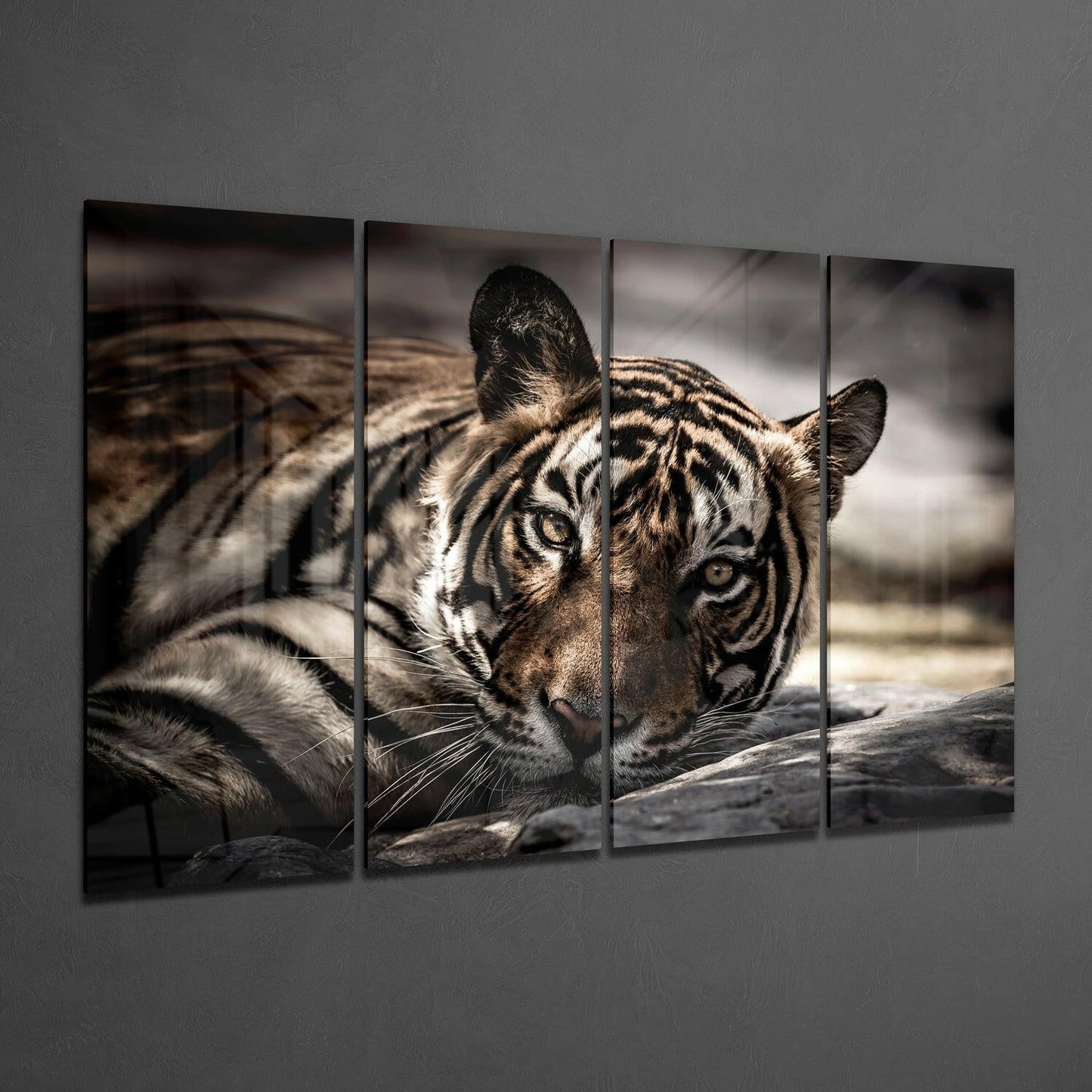 Four-panel glass wall art displaying a close-up of a tiger's face with intense eyes and detailed stripe patterns against a blurred background.