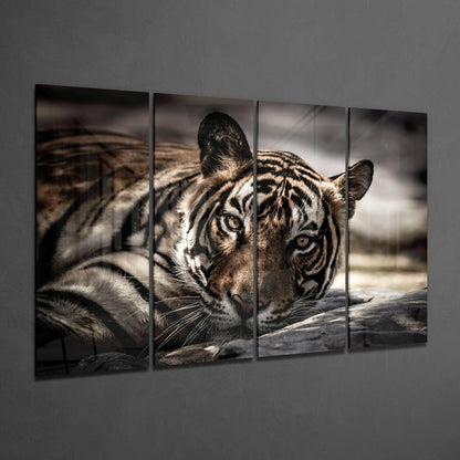 Four-panel glass wall art displaying a close-up of a tiger's face with intense eyes and detailed stripe patterns against a blurred background.