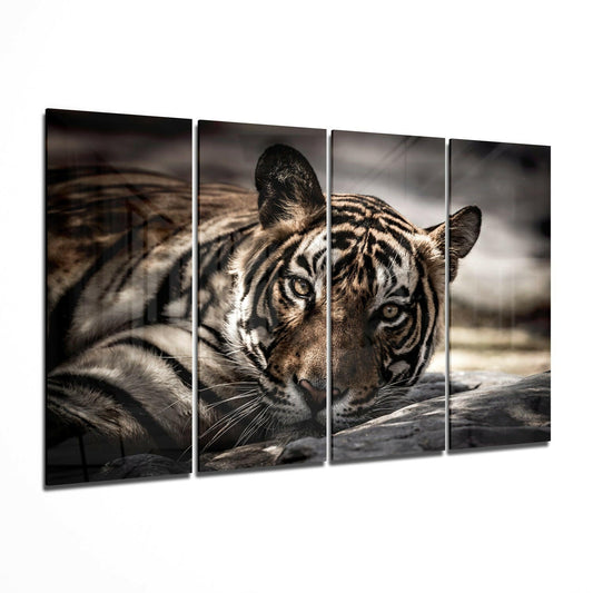Close-up front view of a tiger's face with intense eyes gazing directly ahead, divided across four glass panels with stormy background.