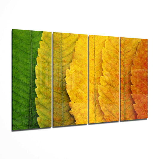Four glass panels displaying serrated leaves transitioning from vibrant green through yellow to orange-red, arranged in a perspective angle.