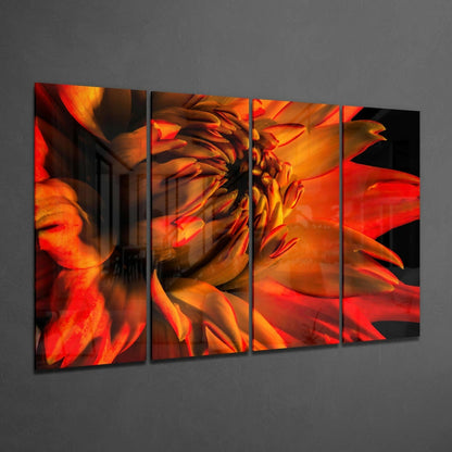 Four-panel glass wall art displaying a close-up of a red-orange gerbera daisy with vibrant warm tones and dramatic black background sections.
