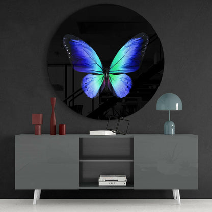 Blue Green Butterfly on Black Glass Wall Art