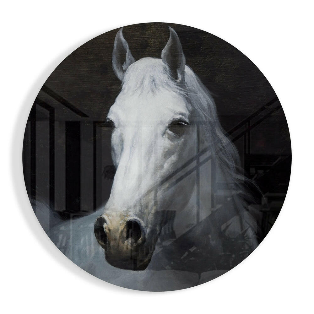 White Horse Portrait Circle Glass Wall Art
