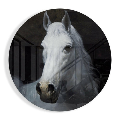White Horse Portrait Circle Glass Wall Art