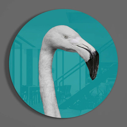 White Flamingo Teal Circle Glass Wall Art