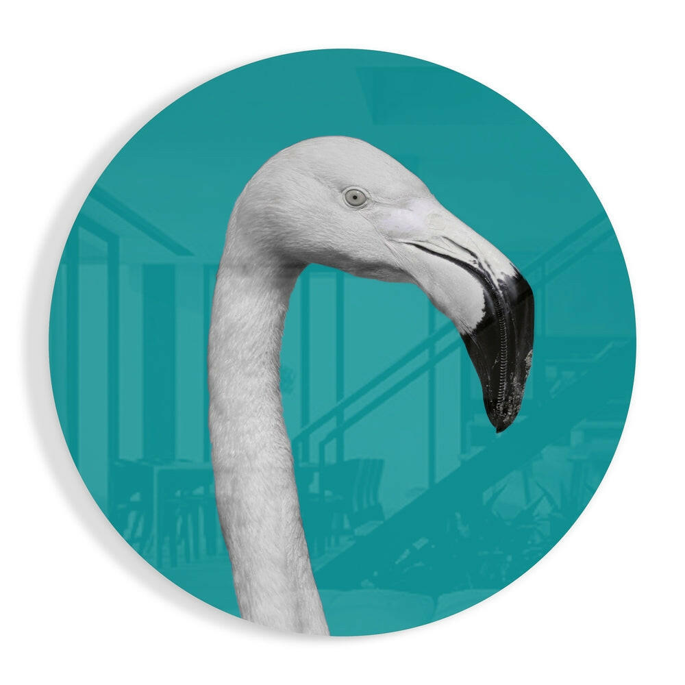 White Flamingo Teal Circle Glass Wall Art