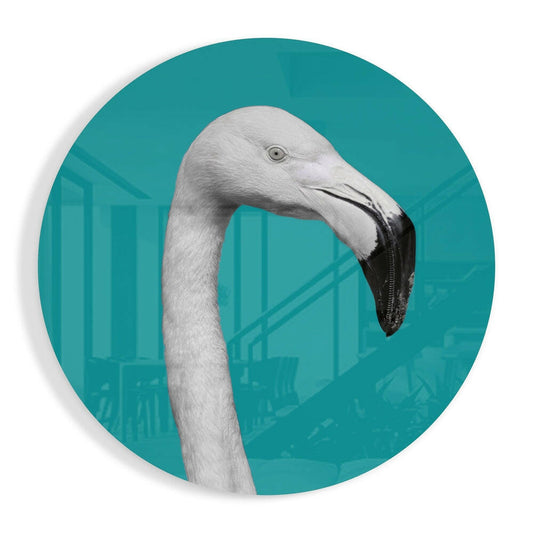 Close-up of white flamingo head and neck in profile against teal circular glass background with architectural details.