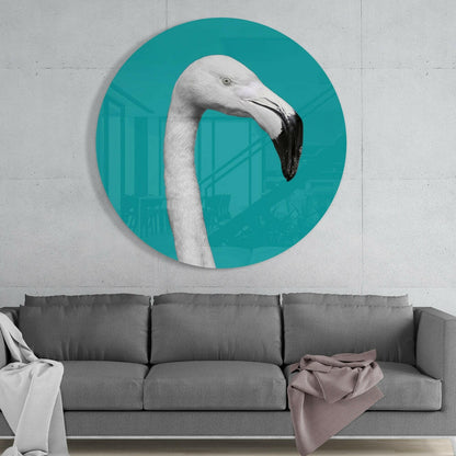 White Flamingo Teal Circle Glass Wall Art
