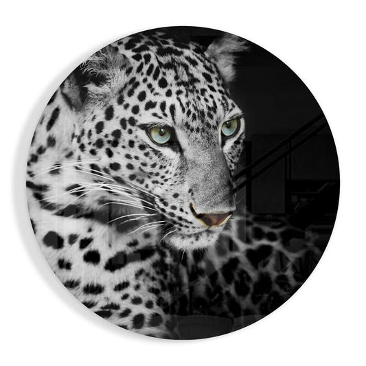 Close-up front view of a snow leopard's face with striking green eyes against a black and white circular glass panel.
