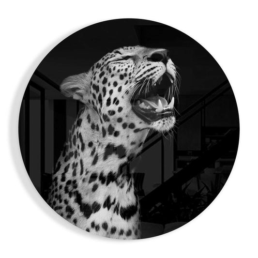 Black and white photograph of a yawning leopard with spotted coat on circular glass wall art with dark background.