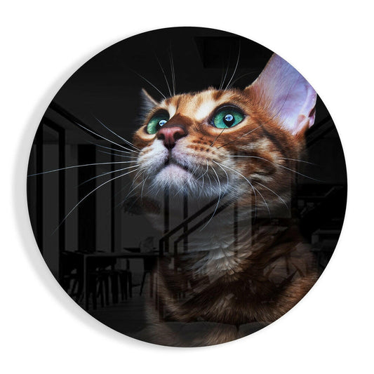 Close-up of a striped brown tabby cat's face with striking turquoise eyes gazing upward, printed on circular glass.