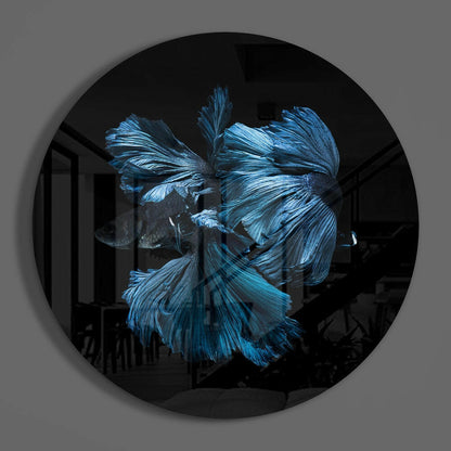 Blue Betta Fish Flowing Fins Glass Wall Art