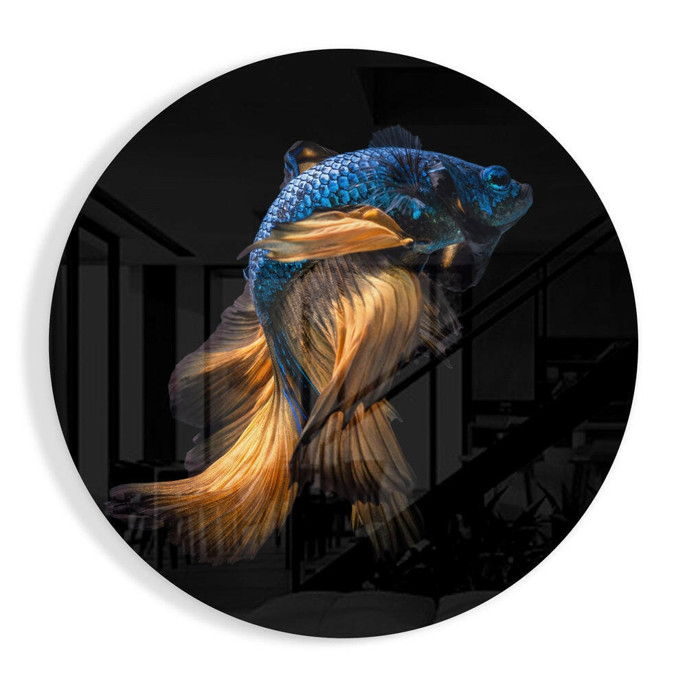 Golden Tail Blue Betta Fish Glass Wall Art