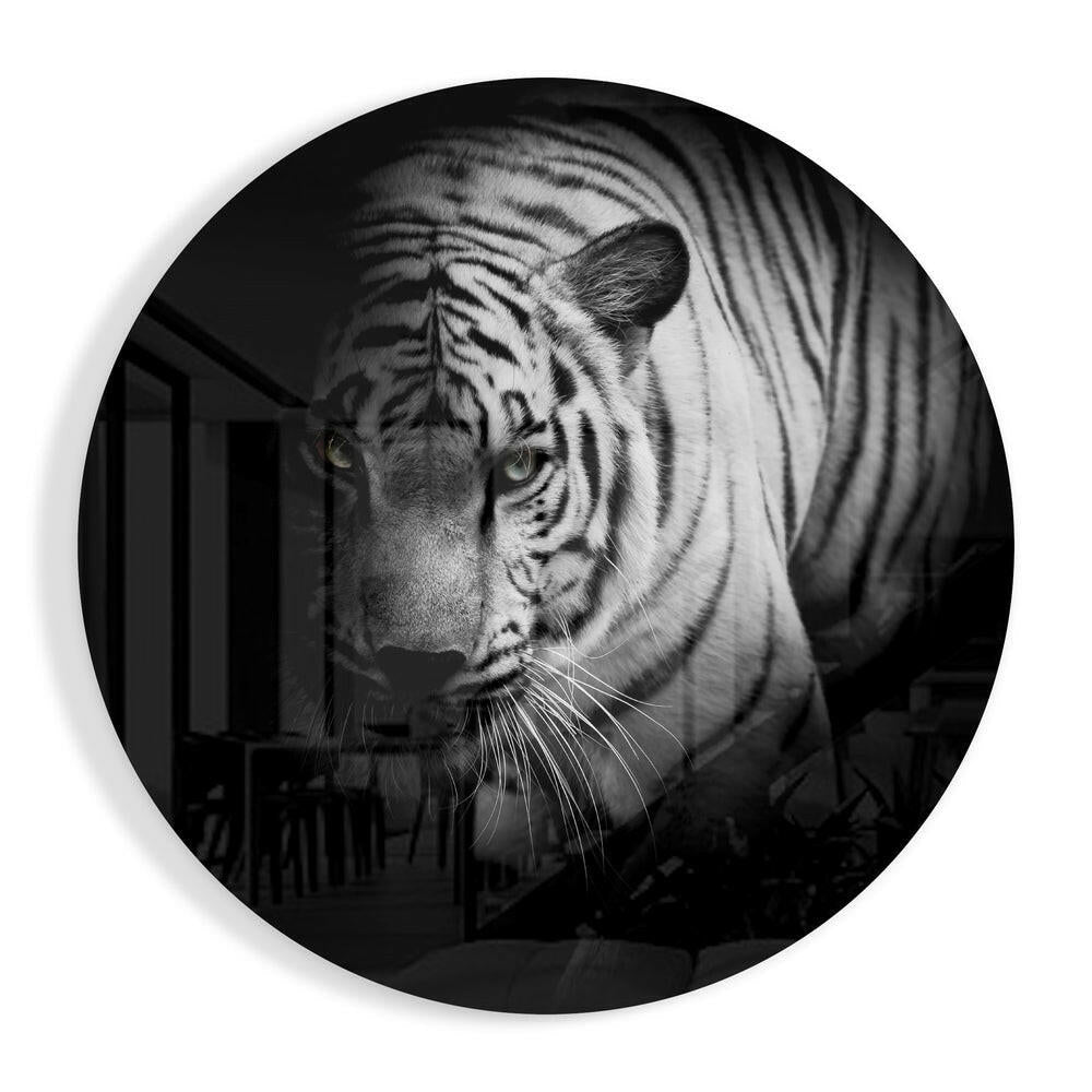 Shadowed White Tiger Glass Wall Art