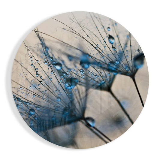 Close-up macro view of dandelion seedhead with blue water droplets clinging to delicate filaments against soft beige background.