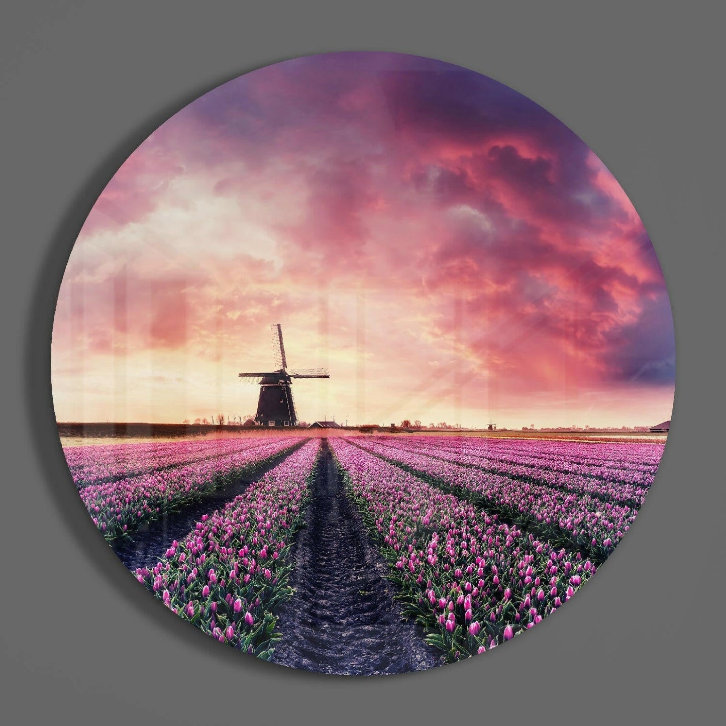 Circular glass wall art displaying a windmill surrounded by pink tulip fields under a dramatic sunset sky.