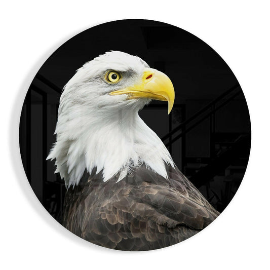 Bald eagle head in profile facing right, with white head and neck, yellow beak and eye, dark brown body feathers, displayed on circular glass against black background.