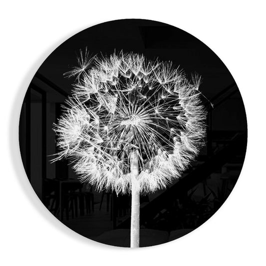 Monochrome photograph of a mature dandelion seedhead centered against a dark background, mounted on round black glass.