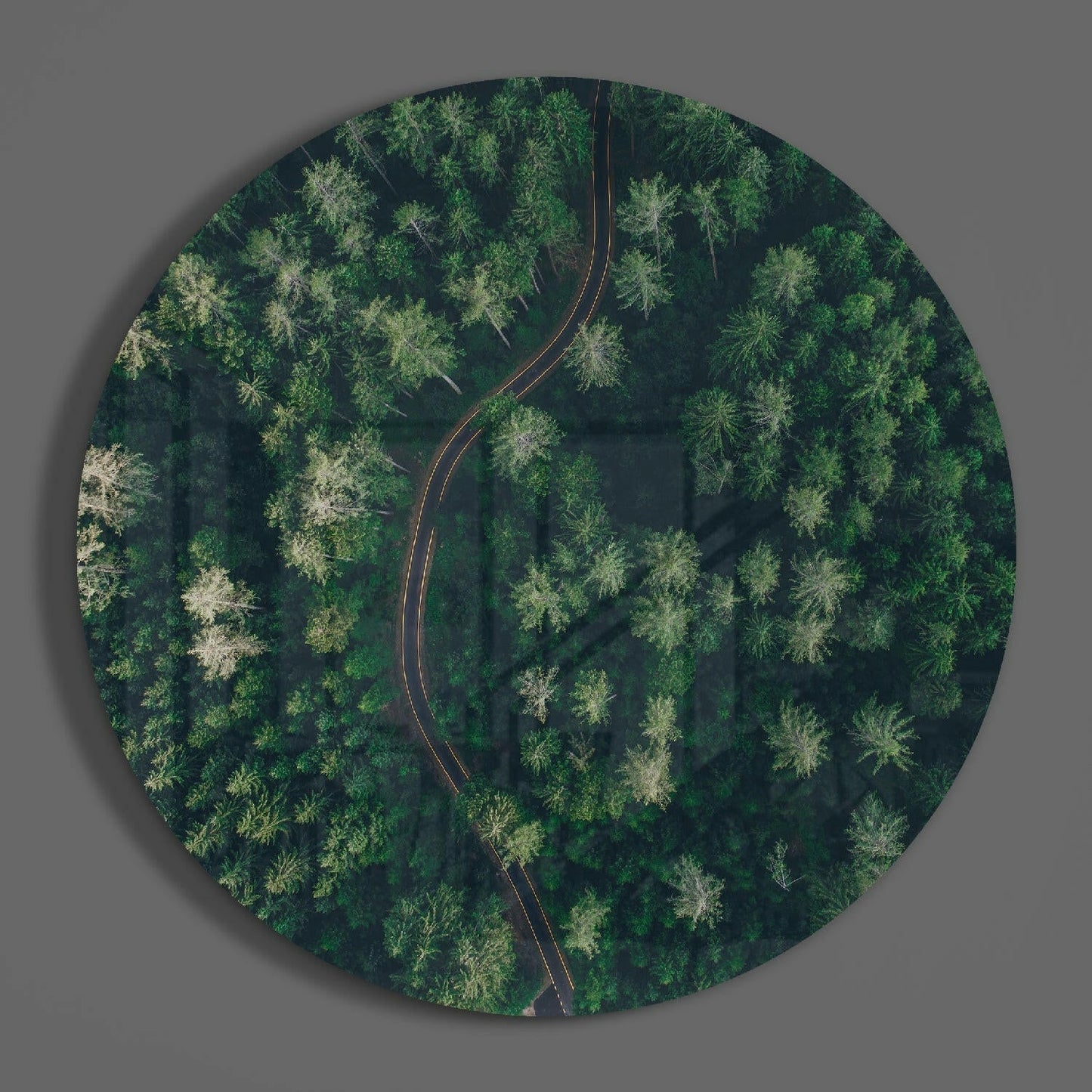 Aerial view of a curved asphalt road with yellow markings cutting through a dense green forest with mixed tree canopies on circular glass.